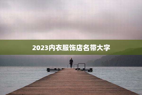 2023内衣服饰店名带大字