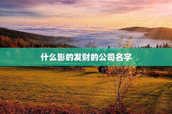 什么影的发财的公司名字