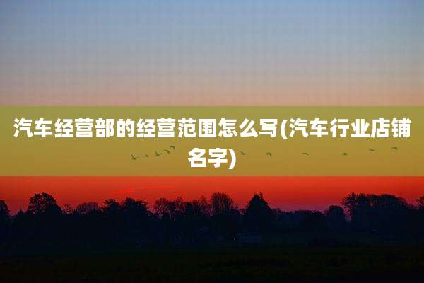 汽车经营部的经营范围怎么写(汽车行业店铺名字)