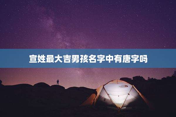 宣姓最大吉男孩名字中有唐字吗