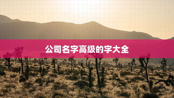 公司名字高级的字大全