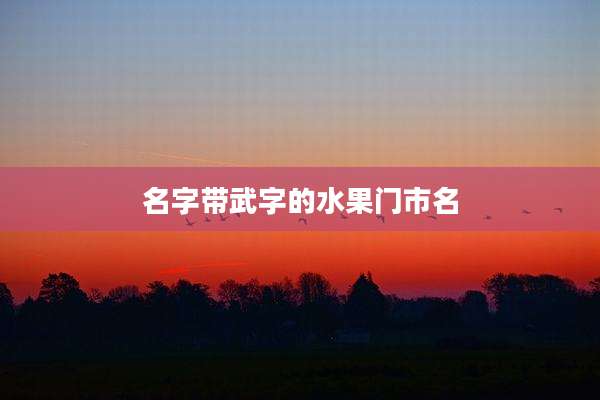 名字带武字的水果门市名
