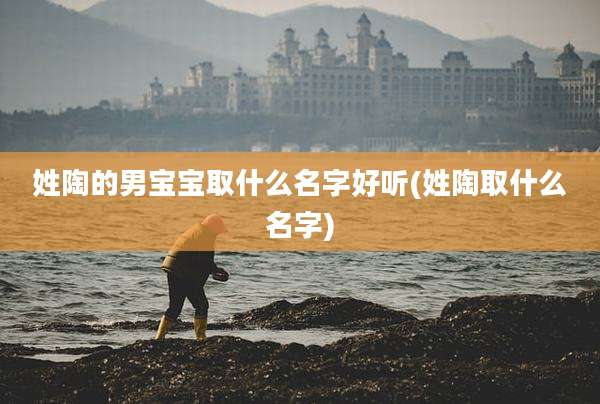 姓陶的男宝宝取什么名字好听(姓陶取什么名字)