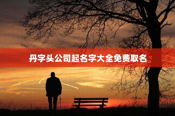 丹字头公司起名字大全免费取名