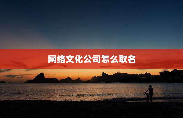 网络文化公司怎么取名