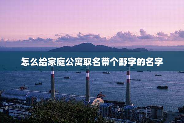 怎么给家庭公寓取名带个野字的名字