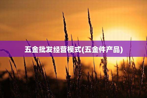 五金批发经营模式(五金件产品)