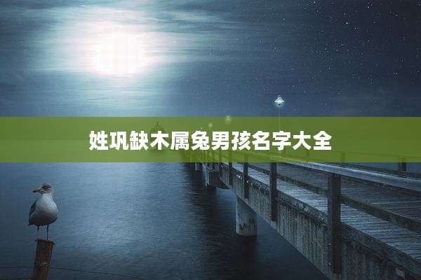 姓巩缺木属兔男孩名字大全