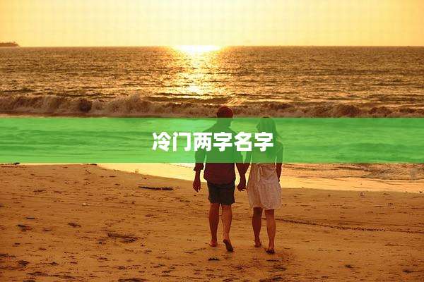 冷门两字名字