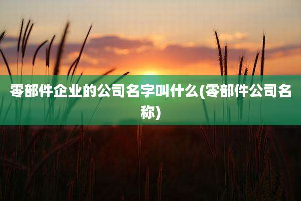 零部件企业的公司名字叫什么(零部件公司名称)