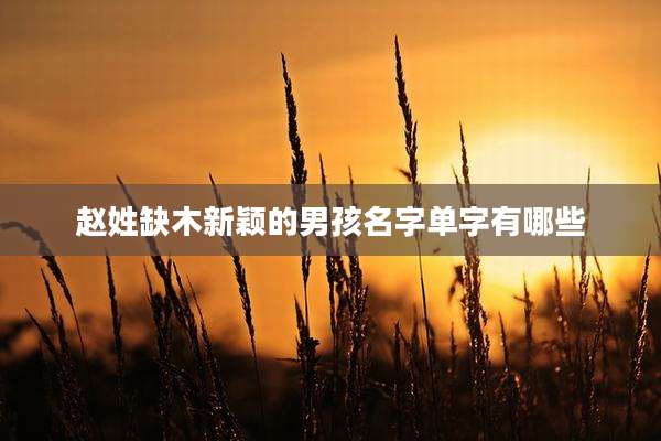 赵姓缺木新颖的男孩名字单字有哪些