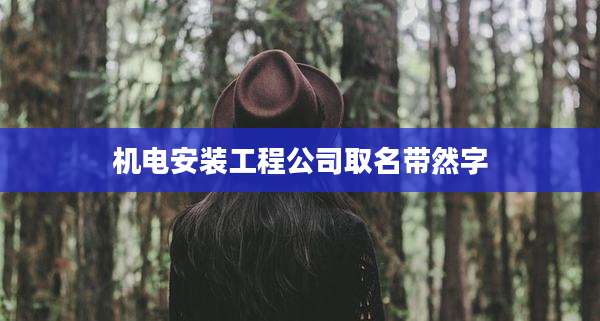 机电安装工程公司取名带然字