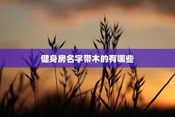 健身房名字带木的有哪些