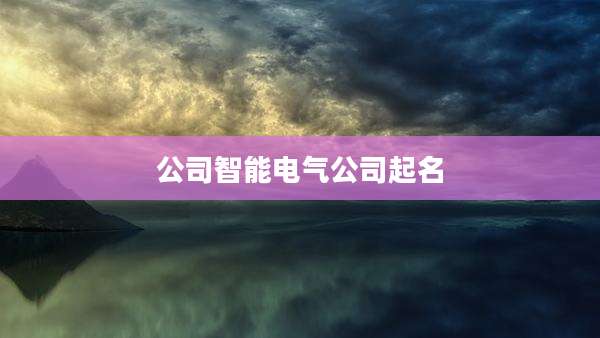 公司智能电气公司起名