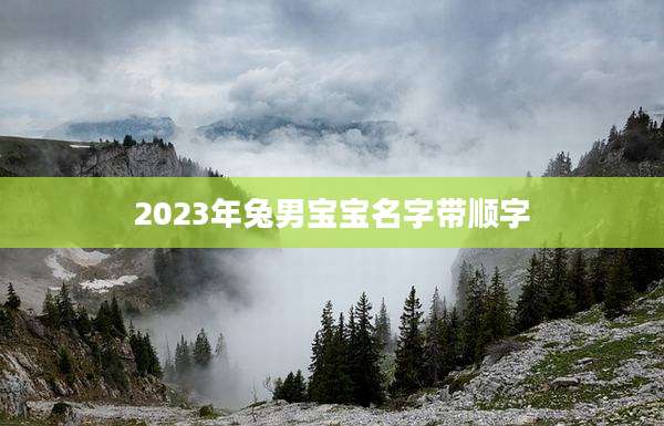 2023年兔男宝宝名字带顺字