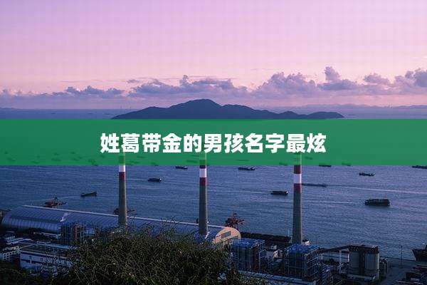 姓葛带金的男孩名字最炫