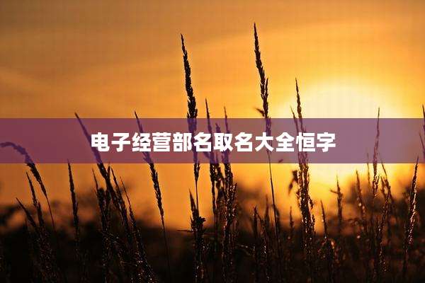 电子经营部名取名大全恒字