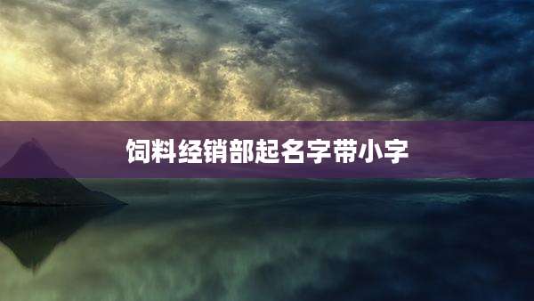 饲料经销部起名字带小字