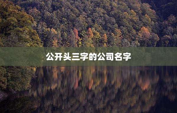 公开头三字的公司名字