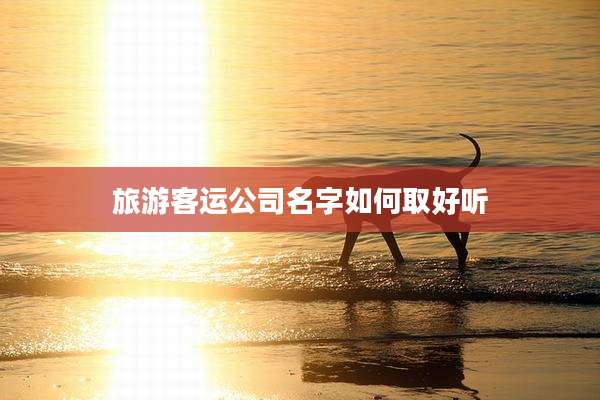 旅游客运公司名字如何取好听