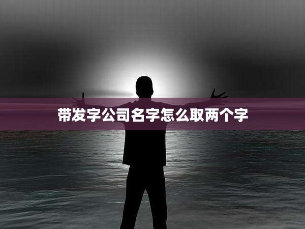 带发字公司名字怎么取两个字