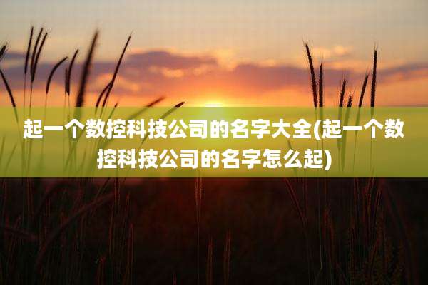 起一个数控科技公司的名字大全(起一个数控科技公司的名字怎么起)