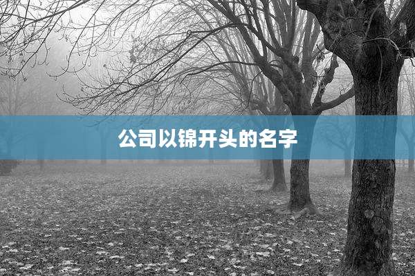 公司以锦开头的名字