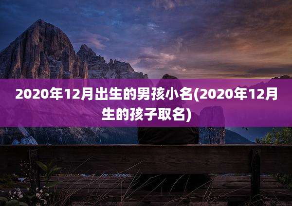 2020年12月出生的男孩小名(2020年12月生的孩子取名)