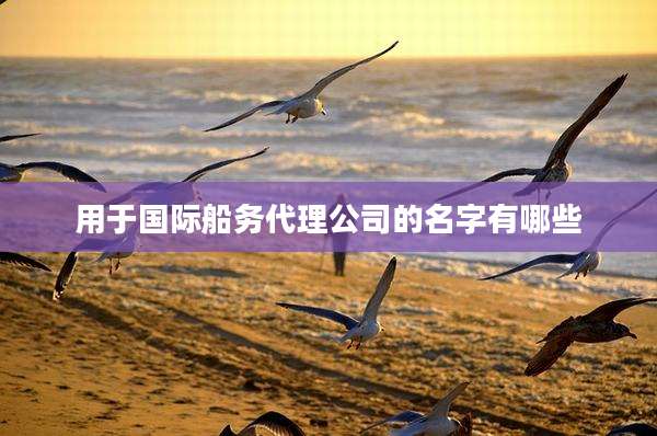 用于国际船务代理公司的名字有哪些