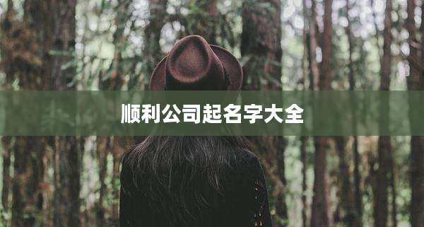 顺利公司起名字大全