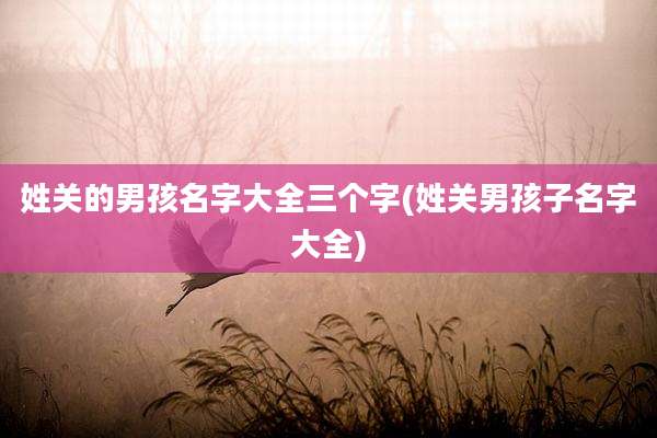 姓关的男孩名字大全三个字(姓关男孩子名字大全)