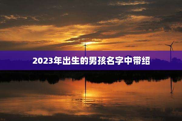 2023年出生的男孩名字中带绍
