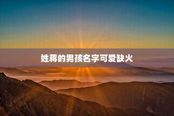 姓蒋的男孩名字可爱缺火