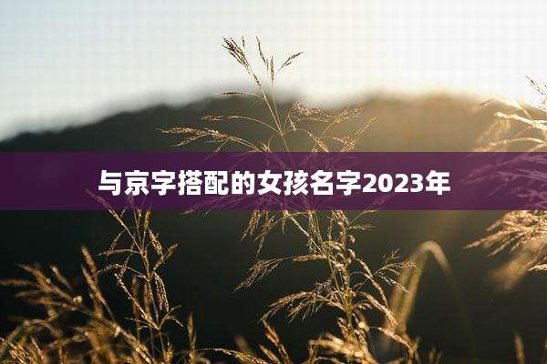 与京字搭配的女孩名字2023年