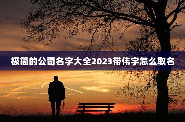极简的公司名字大全2023带伟字怎么取名