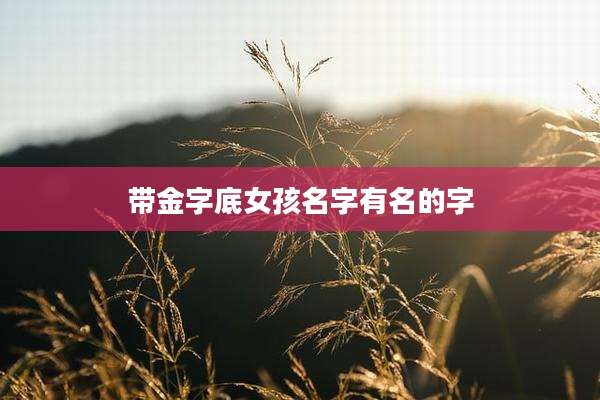 带金字底女孩名字有名的字