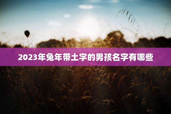 2023年兔年带土字的男孩名字有哪些