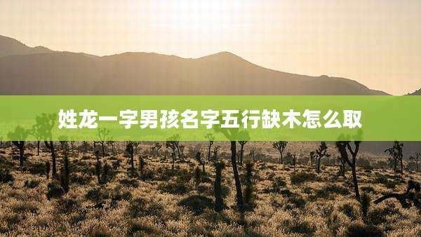 姓龙一字男孩名字五行缺木怎么取