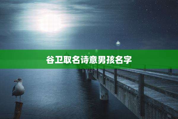谷卫取名诗意男孩名字