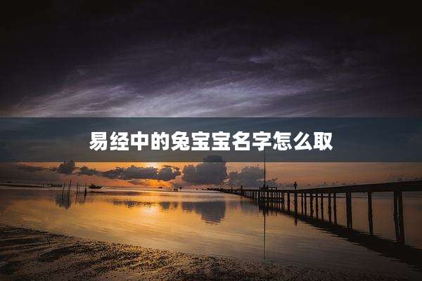 易经中的兔宝宝名字怎么取