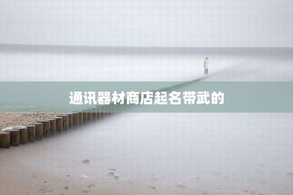 通讯器材商店起名带武的