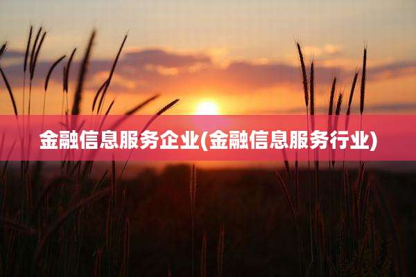 金融信息服务企业(金融信息服务行业)