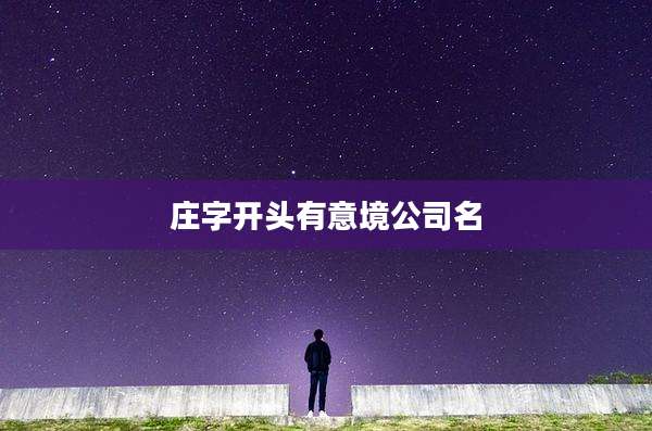 庄字开头有意境公司名