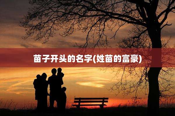苗子开头的名字(姓苗的富豪)