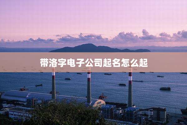 带洛字电子公司起名怎么起