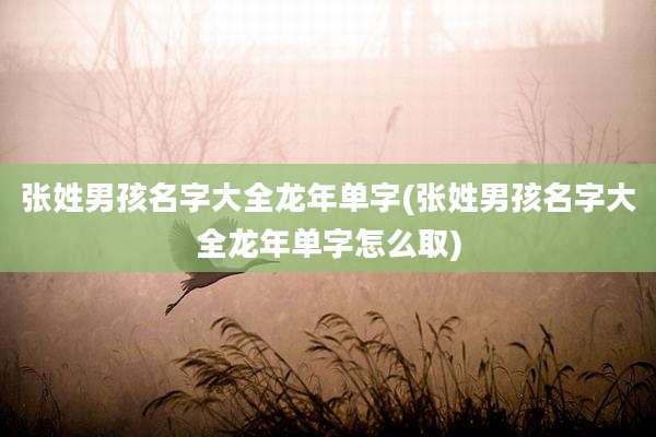 张姓男孩名字大全龙年单字(张姓男孩名字大全龙年单字怎么取)
