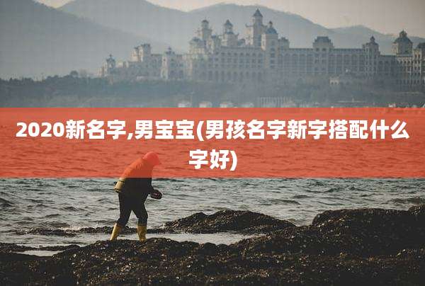 2020新名字,男宝宝(男孩名字新字搭配什么字好)