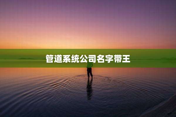 管道系统公司名字带王