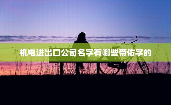机电进出口公司名字有哪些带佑字的