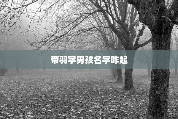 带羽字男孩名字咋起